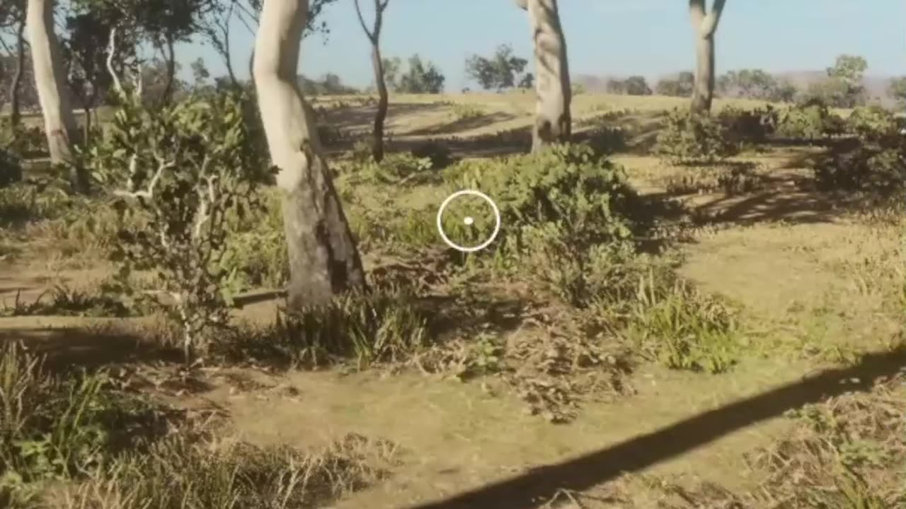 Attack of the Kangaroo Hunter Call of the Wild