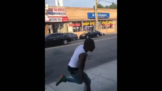 Funny video must watch when dog see cat that's happens watch to see what happens man see ass