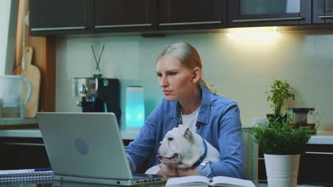 Young woman working on the computer and holding small dog on her hands