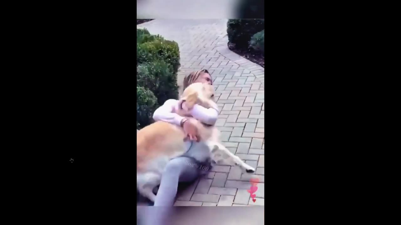 Love these videos they make my heart happy. Dog owners home from military