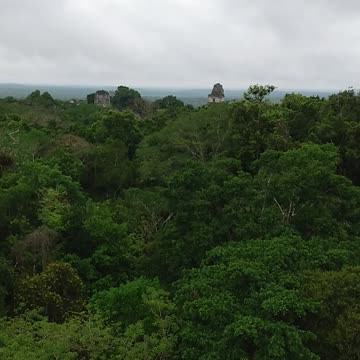 Tikal- Mayan temples