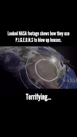 WINGED SPYING - FROM PIGEON to SEAGULL, Insects & BEYOND! - Reloaded from Free Your Mind Vids