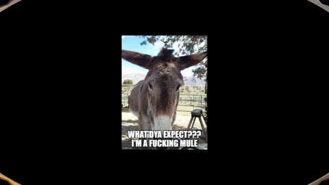 Seriously...You Can't Be Serious