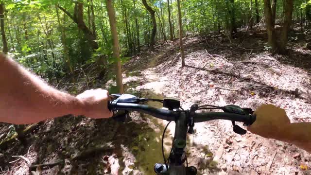 cicling in the forest