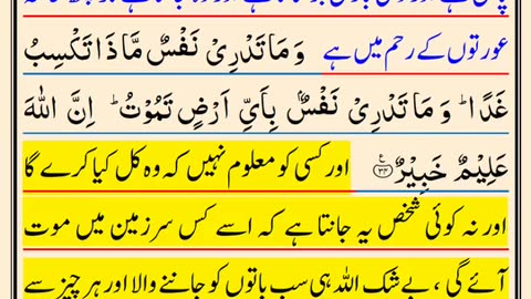 Quran recitation