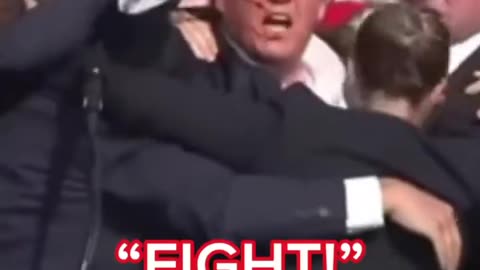 FIGHT!