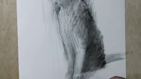 [Sketch] Look at the cat in another way, the furry texture is very simple! 3