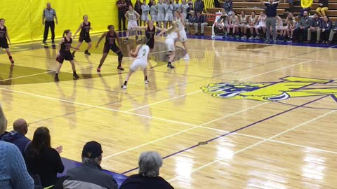 Half-Court Epic Shot at Basketball Game