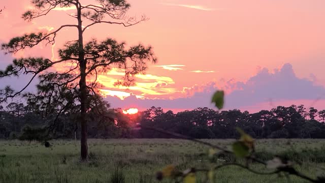 S Florida sunsets