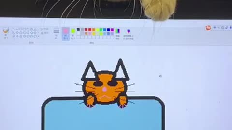 cat funny will make your splace
