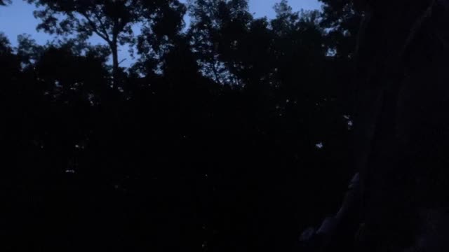 AK74 Muzzle Flash - Night Fire