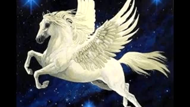 Pegaso - Tierra Santa