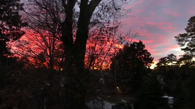 20 Second Of Sunset🌅 (Bird sounds).