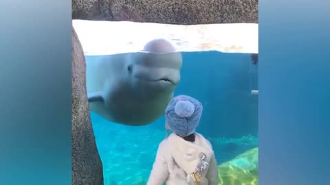 Funny baby with funny dolphin !