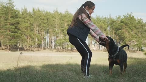 Girl playing with her dog on the meadow