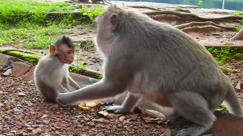 Best Mama Doesn't Give Up Her Care To Cute Baby