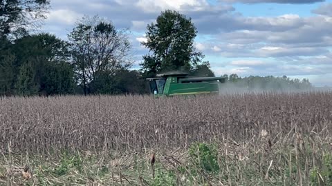 2024 Corn Harvest
