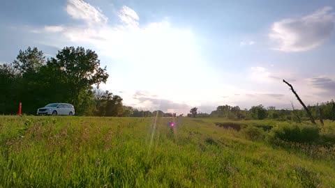 Honda CRF250F Trail Riding #57 ft. Log in the Grass