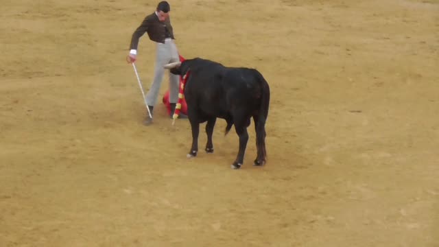 HUESCA 14-05-22