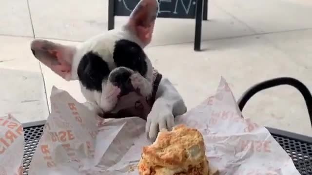 When you cannot hold on to your diet