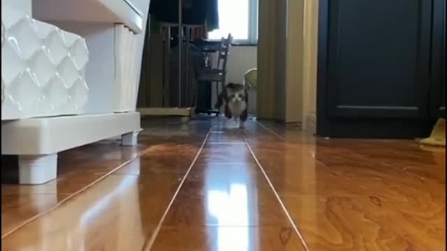 It is constantly running