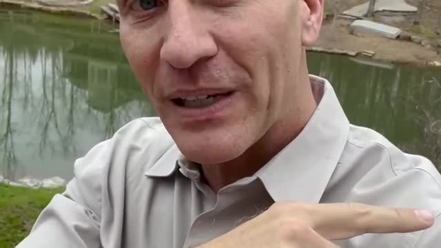 Some BIG developments you need to hear! WATCH: FBI agent pleads GUILTY