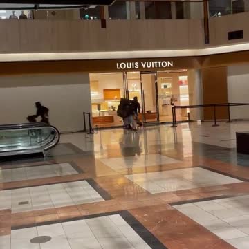 Louis Vuitton store looted in North Shore area of Chicago