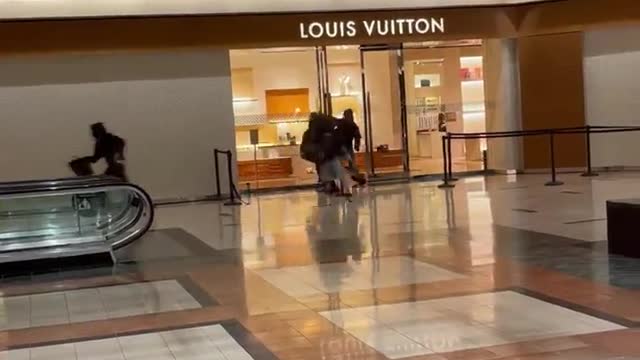 Louis Vuitton store looted in North Shore area of Chicago