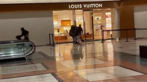 Louis Vuitton store looted in North Shore area of Chicago