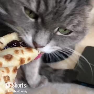 За блины родину продаст😂 #shorts