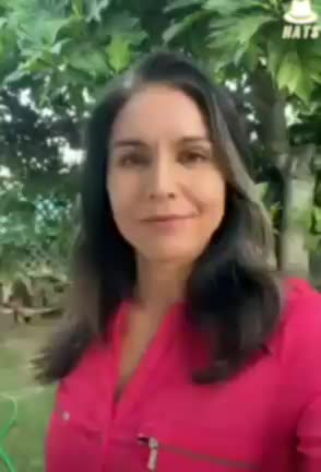 Ukraine is not a Democracy