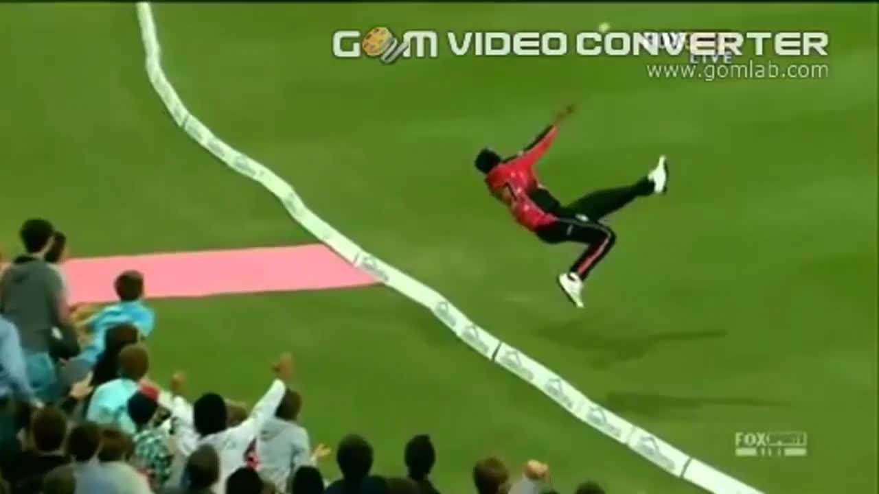 Bravo Amazing save a boundry in KFC Big Bash