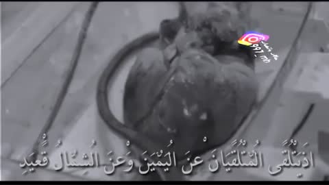 اجمل حالات واتس اب قرأن كريم بصوت جميل جدا