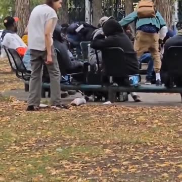 Calgary has gangs of Africans loitering around, harassing and stealing from