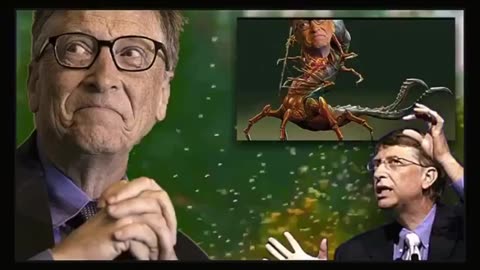 OH NO NOW WE HAVE THE EEE MOSQUITO VIRUS, BUT NO FEAR, BILL GATES TO THE RESCUE 🔥