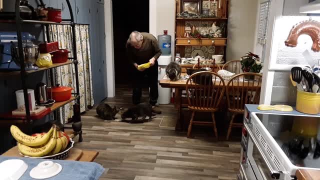 Shake The Bag - The Mount2 Rumble Report