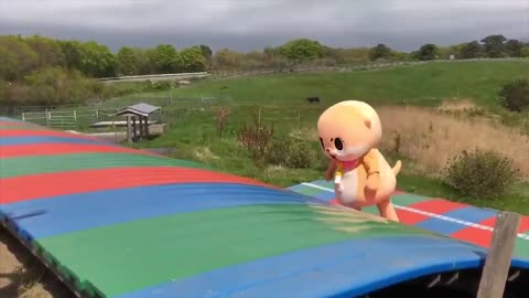 Japanese Mascot Fails