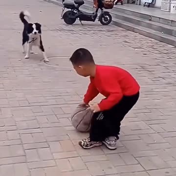 Funny moments with my dog #24 🐶🐕