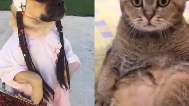 What is that ?