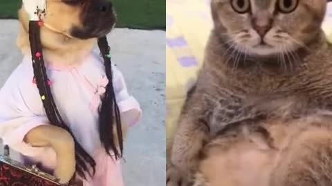 What is that ?