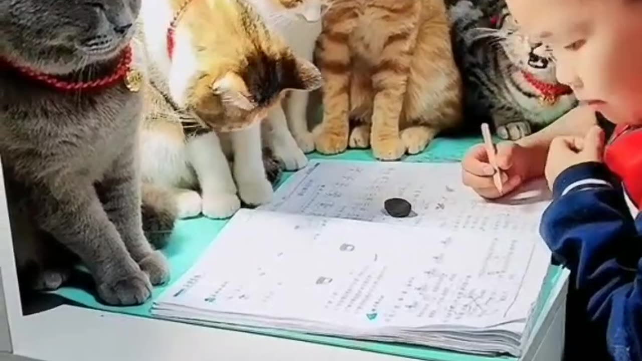 They are busy to study