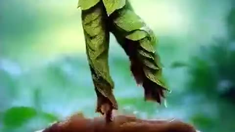 dancing planting with AI video making funny and cretivity