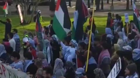 Mass Protests in Dallas Against the Jewish National Fund Annual Conference