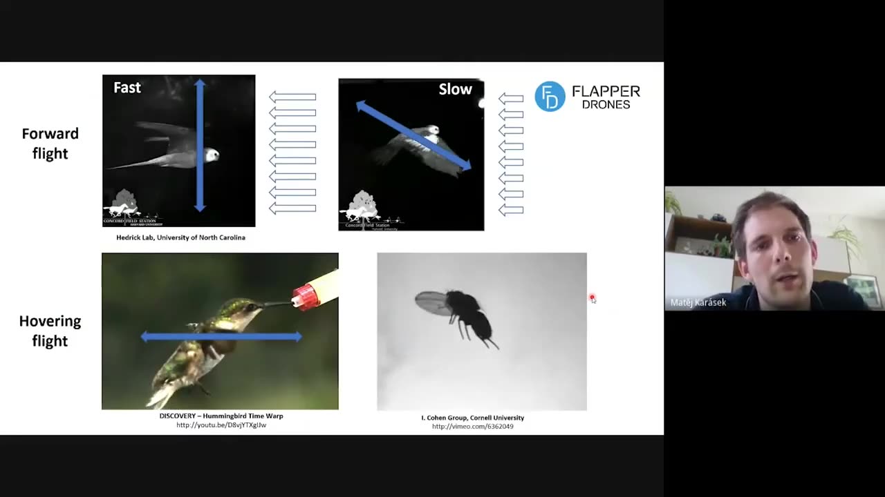 Drones made to appear as insects-CIA admitted to it in 70s-flaper,existing bee & fly modelled drones