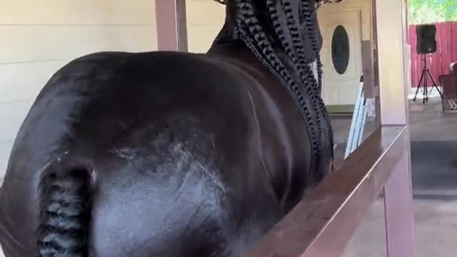 Is that a nice braid on your head?