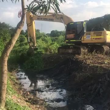 Limpieza tra paso de Iota