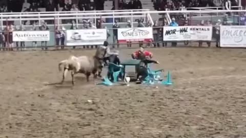 If You're Gunna Be Dumb You Gotta Be Tough