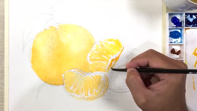 Master paints a delicate orange with watercolor 6