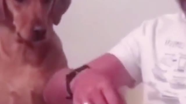 Funny video | Dunk Memes | comedy video of the year