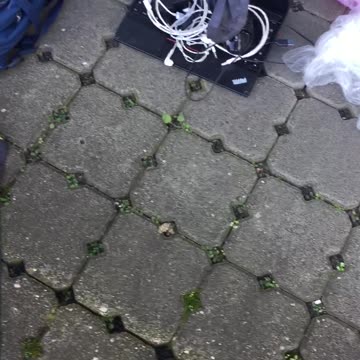 GERMAN ANONYMOUS BROUGHT ME HERE FB 2016 EVERYONE MEERBUSCH PRINCENALLE TRYING KILL ME